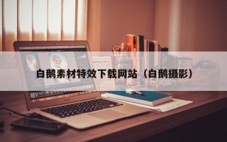 邳州白鹅素材特效下载网站（白鹅摄影）